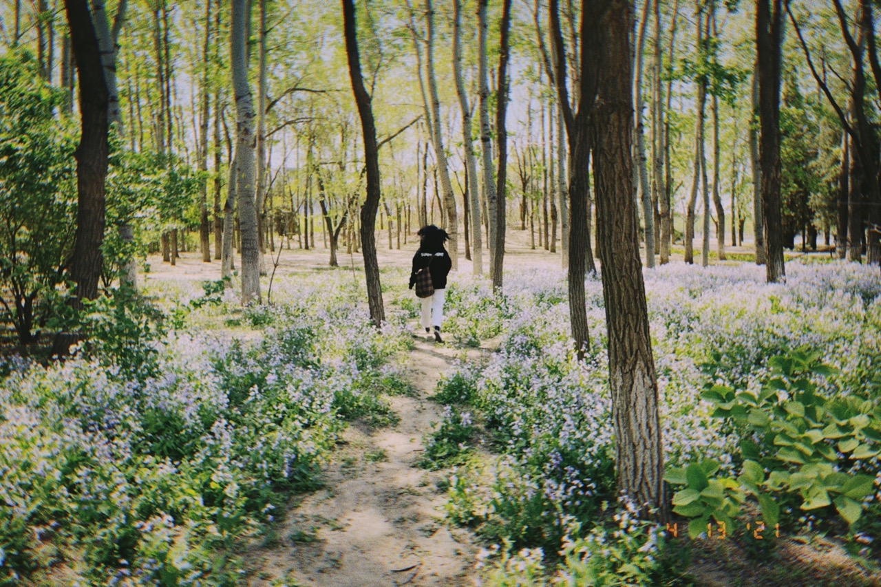 Olympic Forest Park